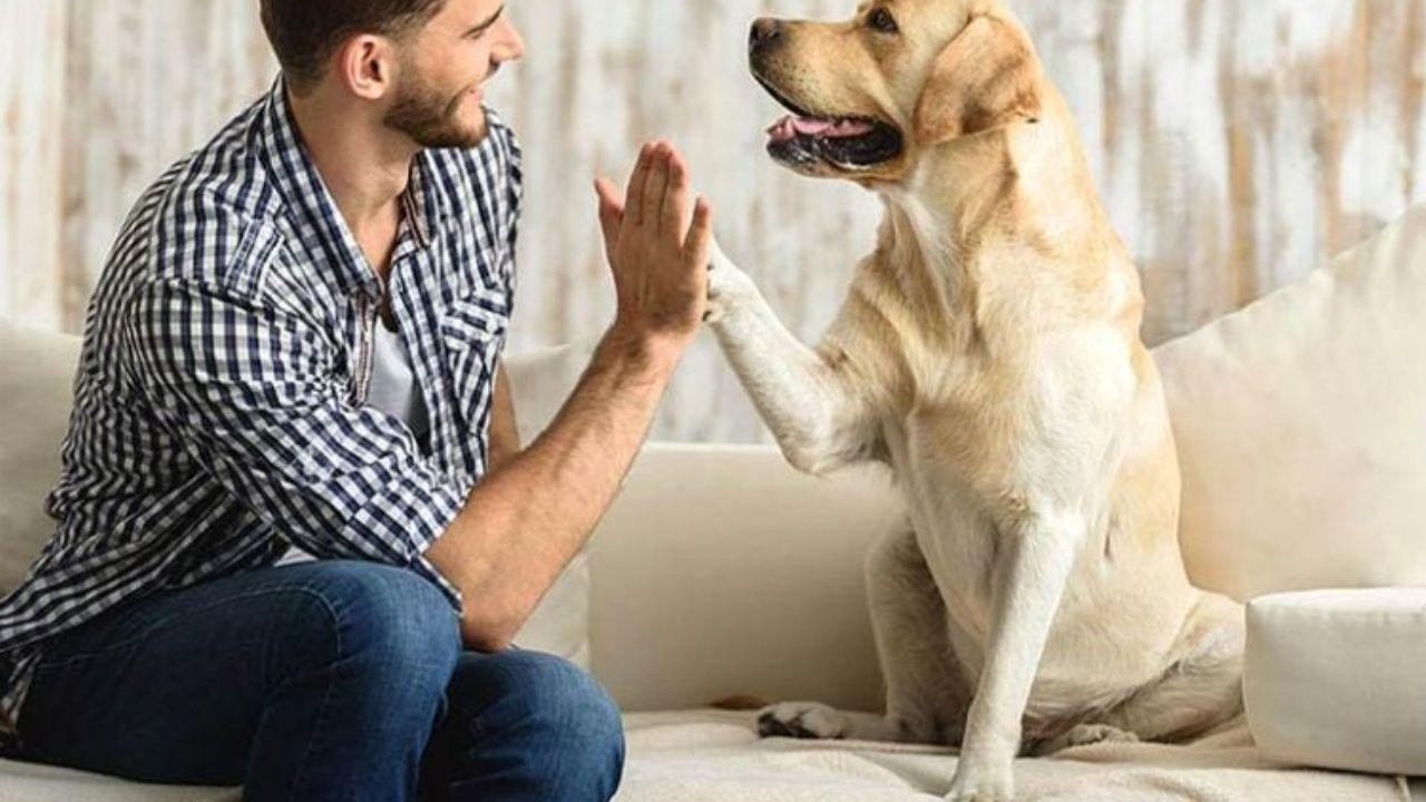 New Pet Owners: 9 Must-Know Tips!