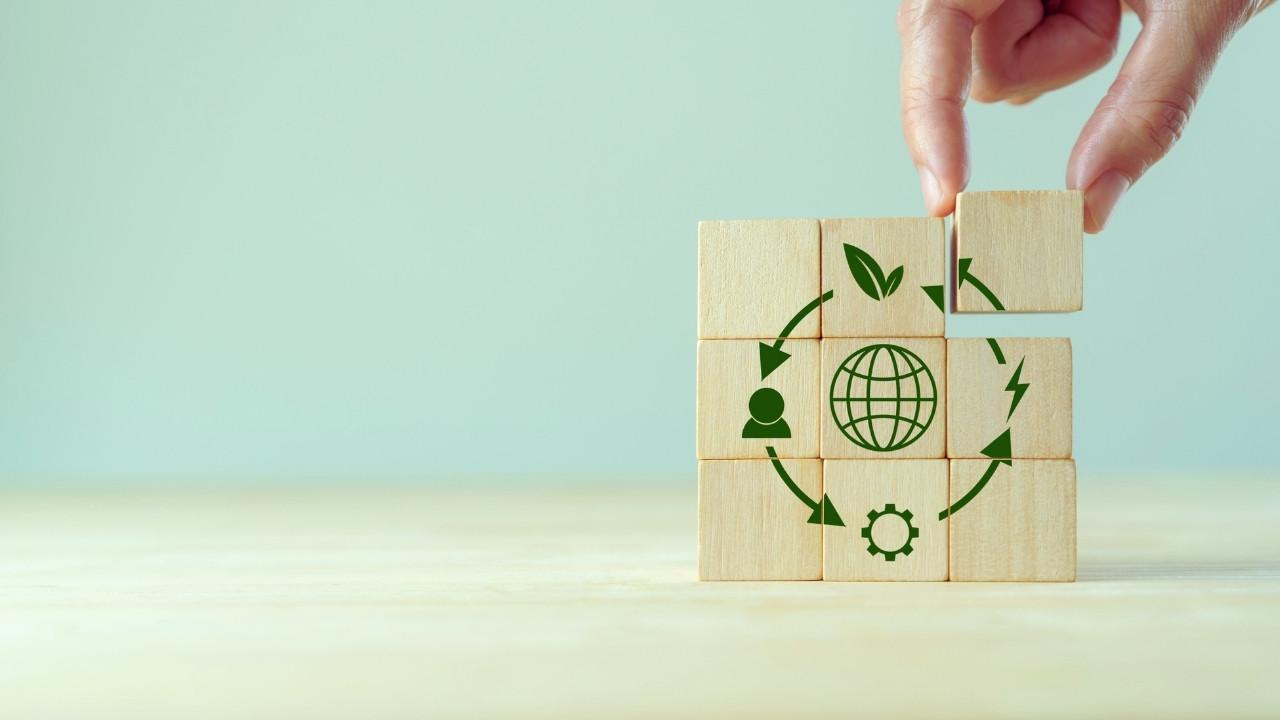 From Waste to Wealth: Dubai’s Push Toward a Circular Economy
