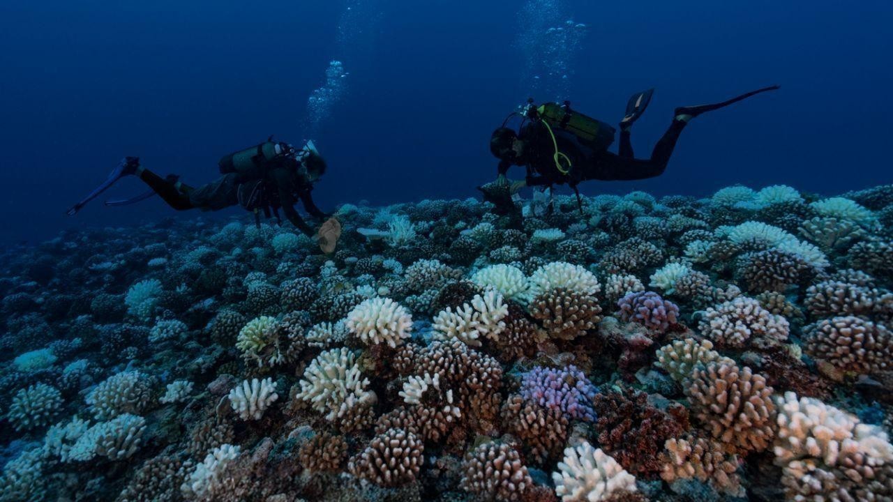 Abu Dhabi's Environment Agency and Khalifa University collaborate on seabed survey