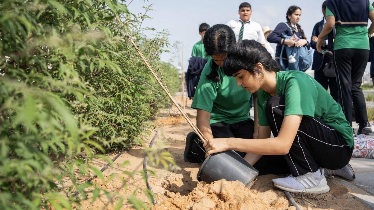 Miral Plants 300 Trees for a Greener Abu Dhabi