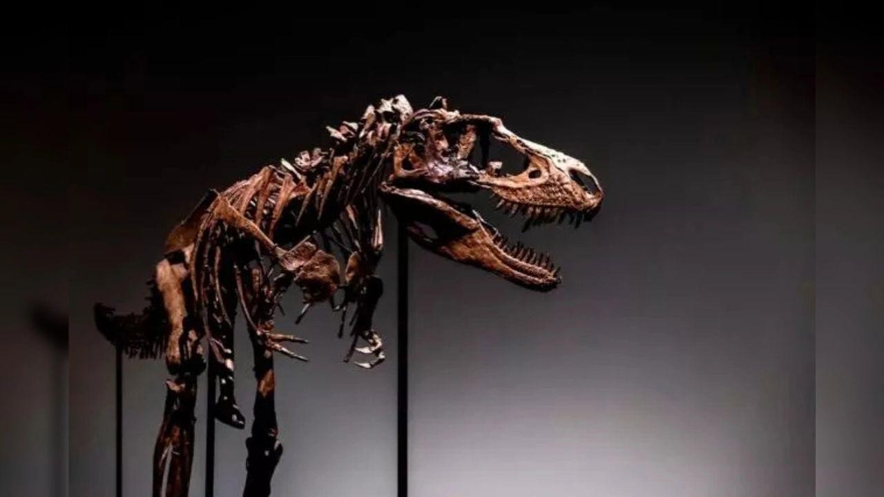 Billionaire Breaks Auction Record with $45 Million Dinosaur Skeleton Purchase