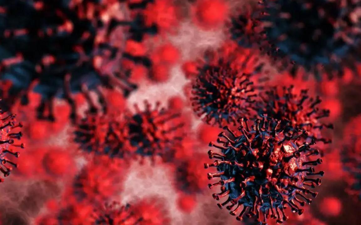 What is Disease X, and why do scientists fear its spread?