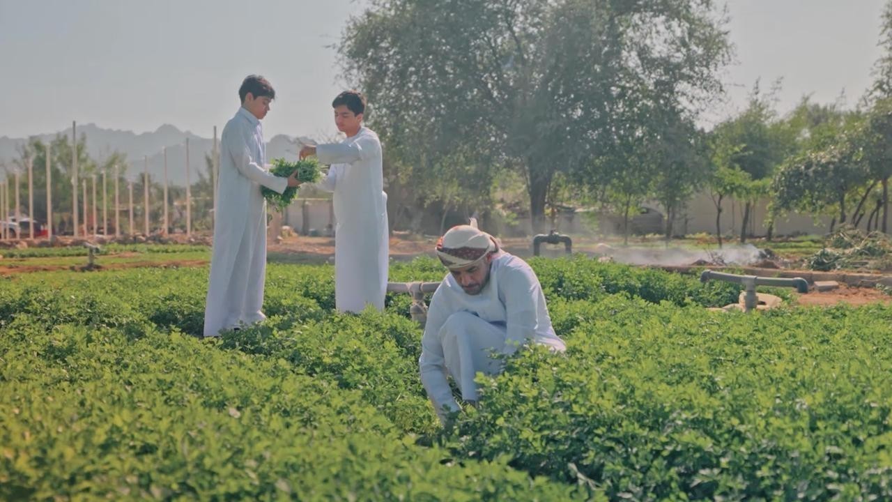 Dubai Municipality Launches Second Hatta Farming Festival