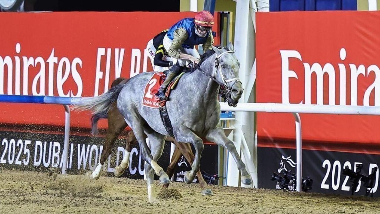 Hit Show Wins 2025 Dubai World Cup at Meydan Racecourse