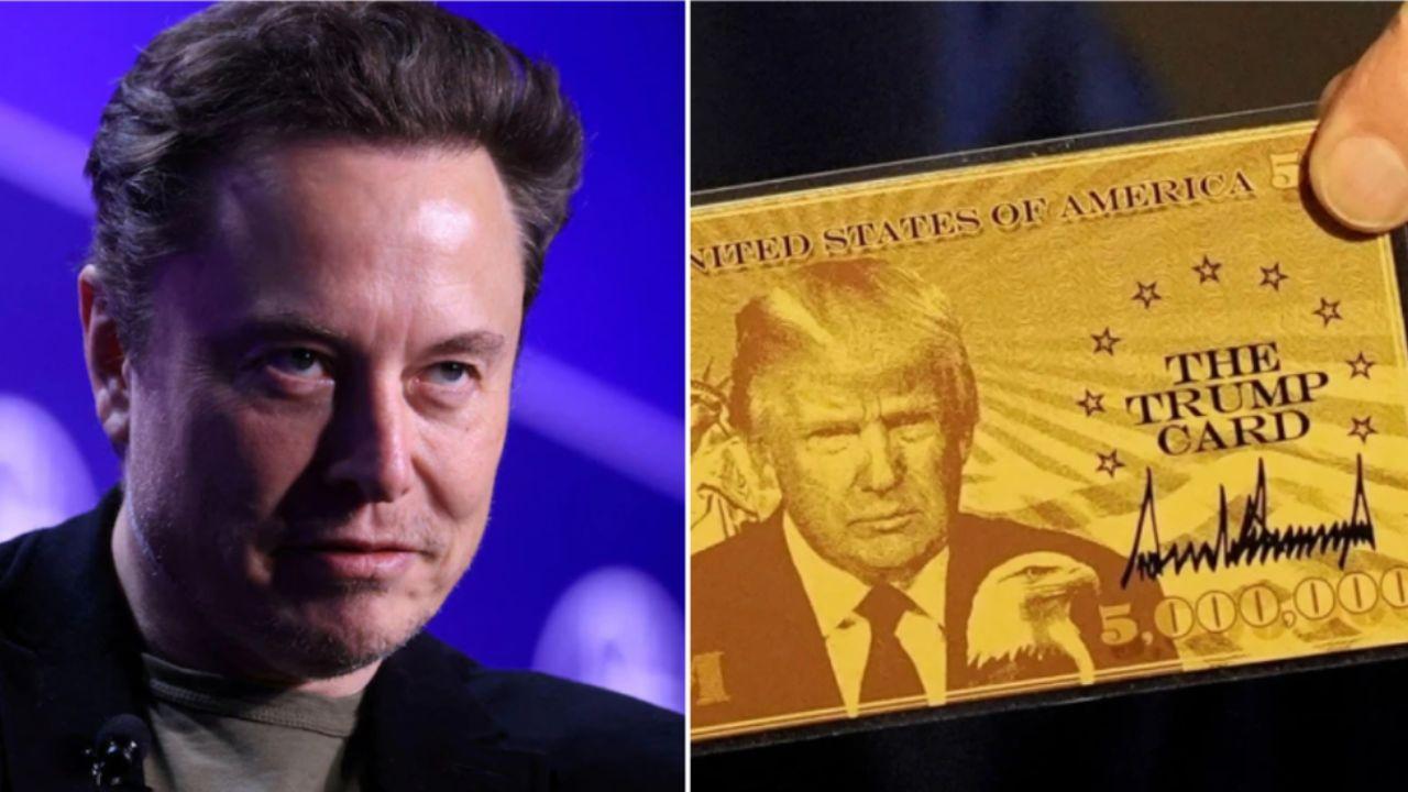 Trump's Gold Card Coming Soon, Musk's DOGE Software Underway