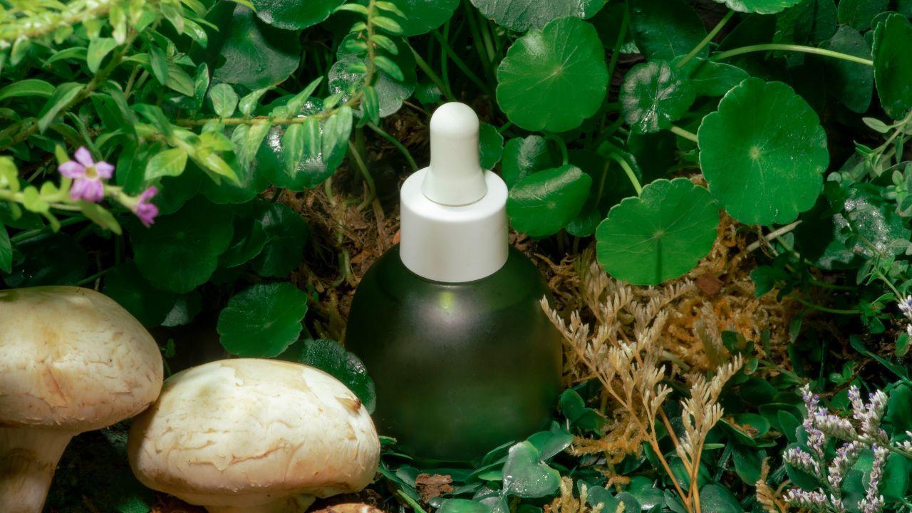 How to Improve Your Health Naturally and Sustainably