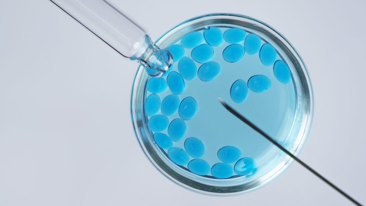 AI Transforms IVF at Abu Dhabi’s Leading Fertility Conference