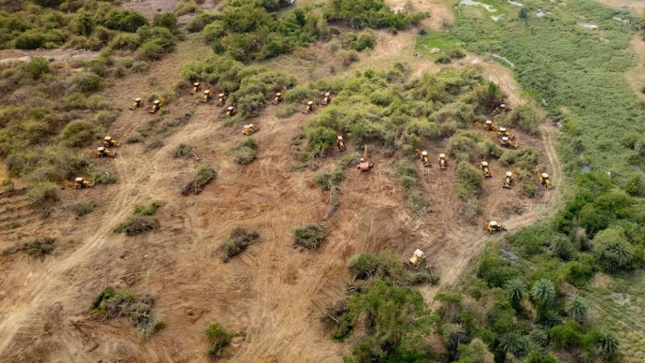 Supreme Court Halts Deforestation in Kancha Gachibowli