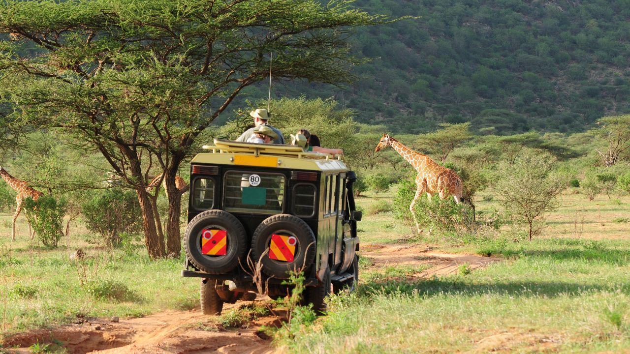 Kenya: Best Time to Travel and Visit for an Unforgettable Experience