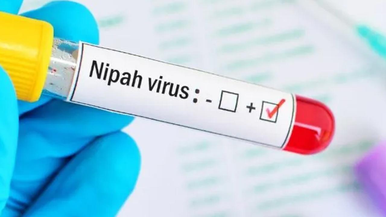 Nipah Virus Alert: Kerala Health Officials Gather for Urgent Meeting