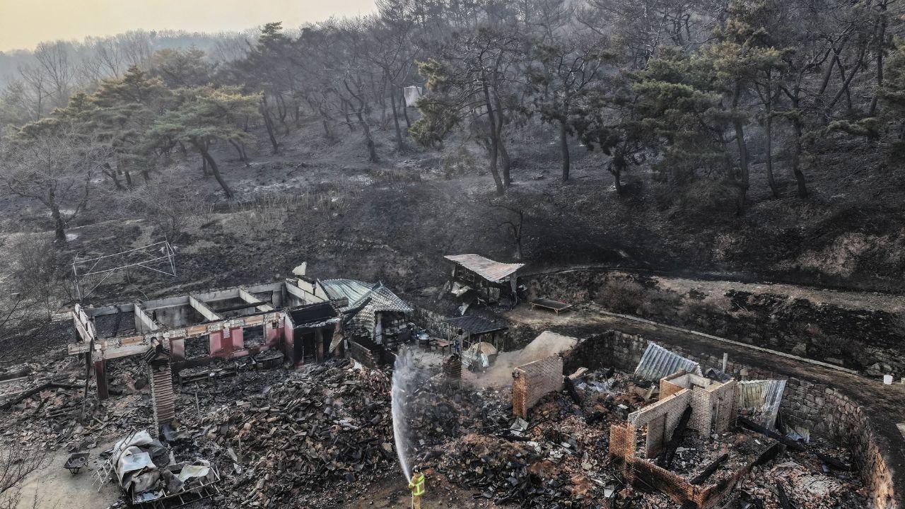Korea Battles Multiple Wildfires in Southeastern Region
