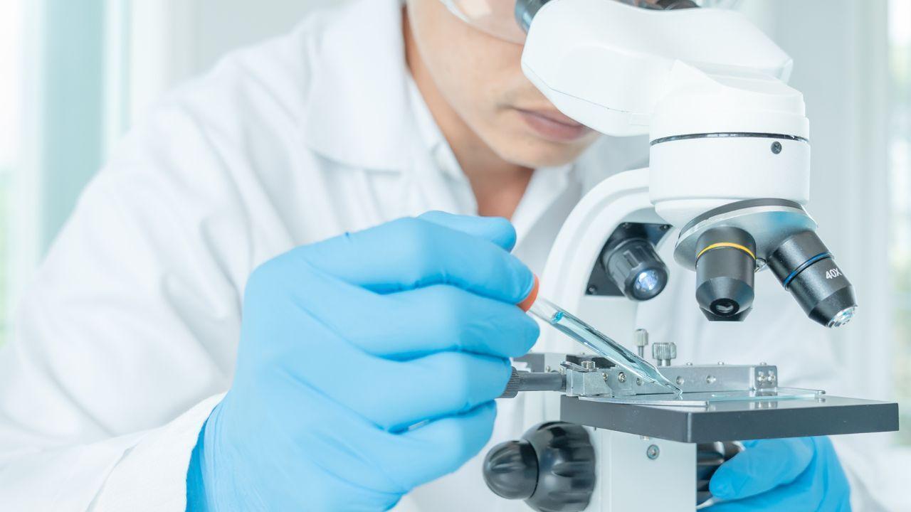 Famous Scientific Discoveries and Their Impact on Humanity