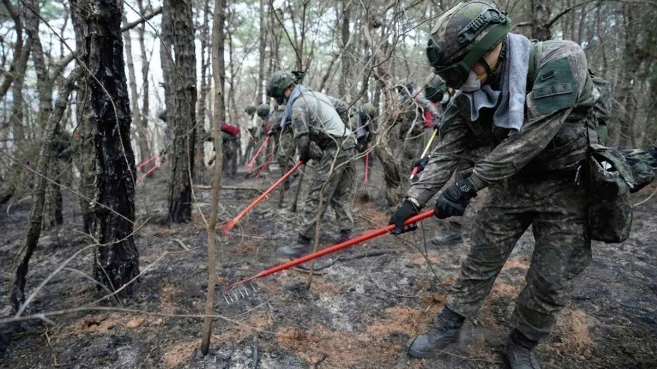 South Korea Battles Worst Wildfires Amid Weather Break