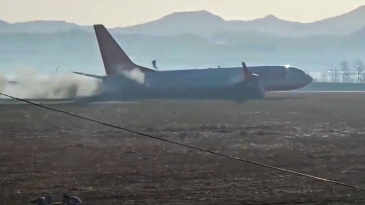 South Korea's deadliest plane crash underscores the dangers of bird strikes