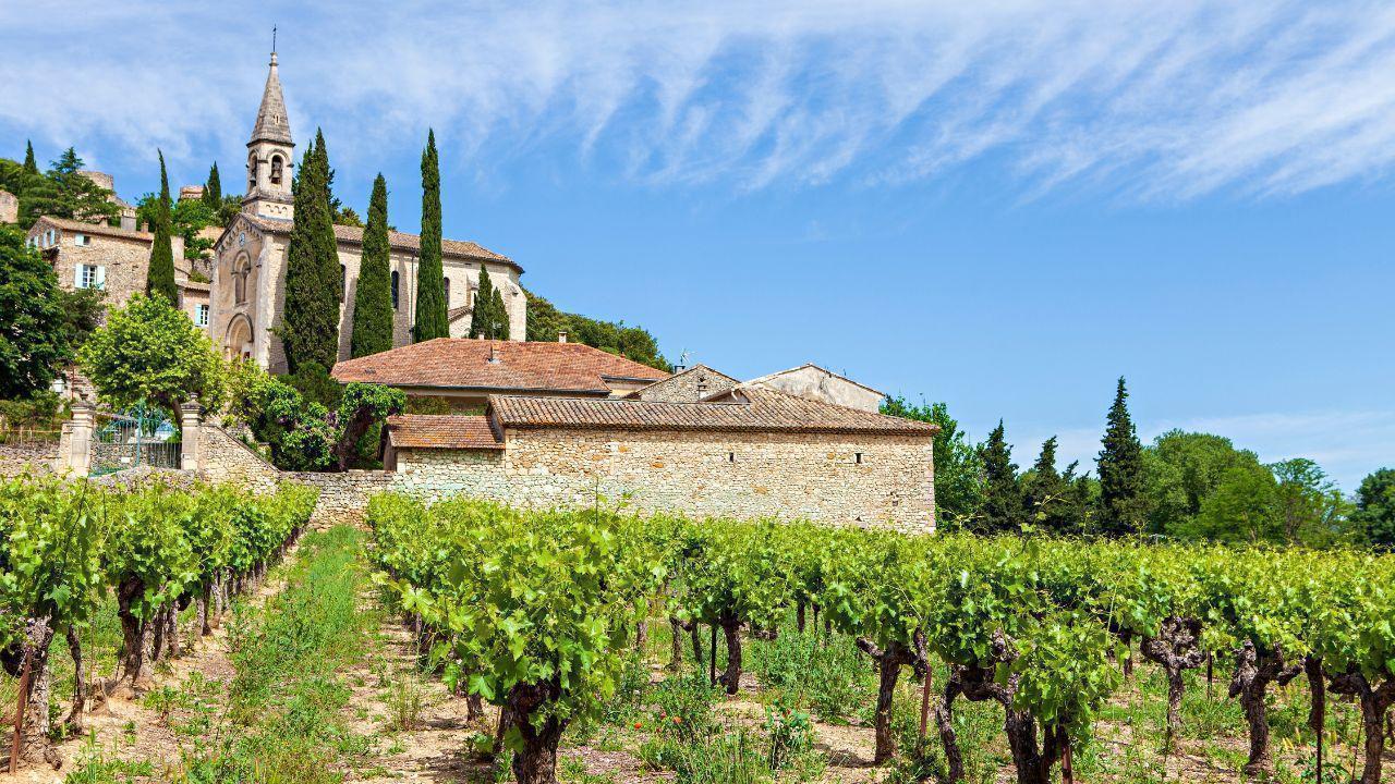 Journey Through Vineyard Wonders: Natural Beauty and Rich History