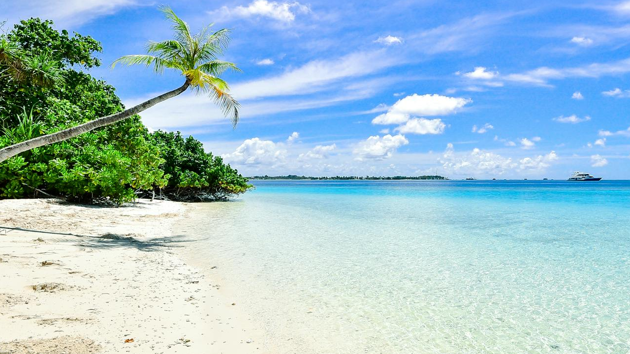 Country fines Tourists ₹2 lakh for beach rock picking.