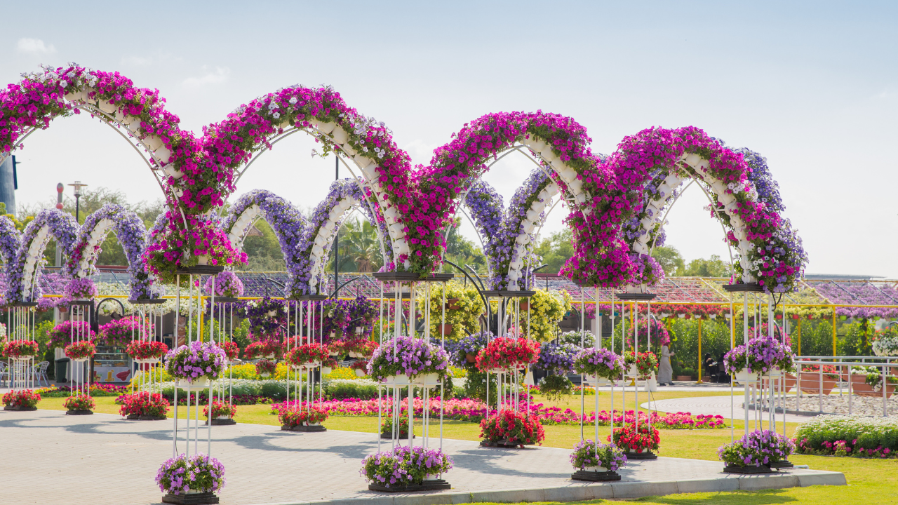 Dubai's 20 Must-Visit Destinations