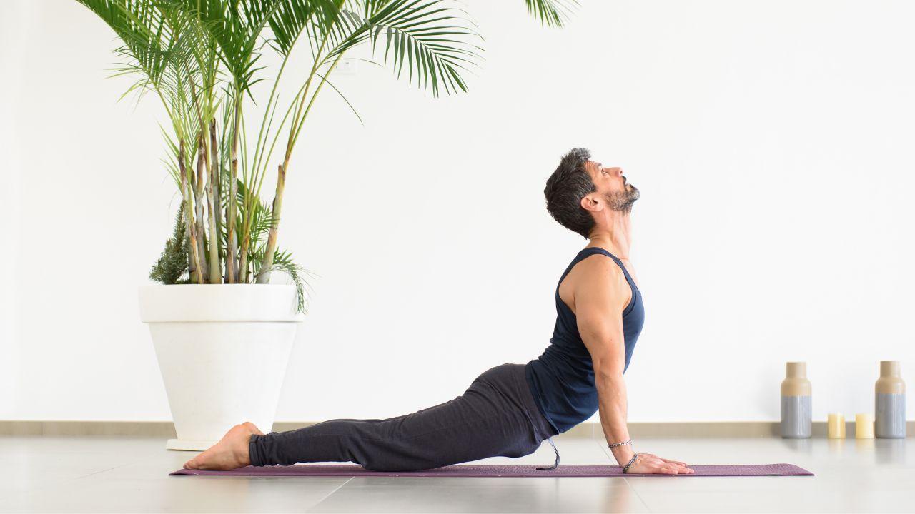 Top 10 Yoga Poses Every Beginner Should Try