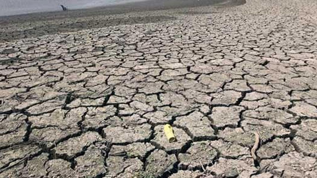 Zimbabwe Declares El Nino Drought National Disaster