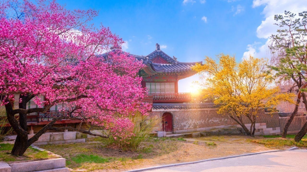 Your Ultimate Guide to South Korea: Tips for Expats and Travelers