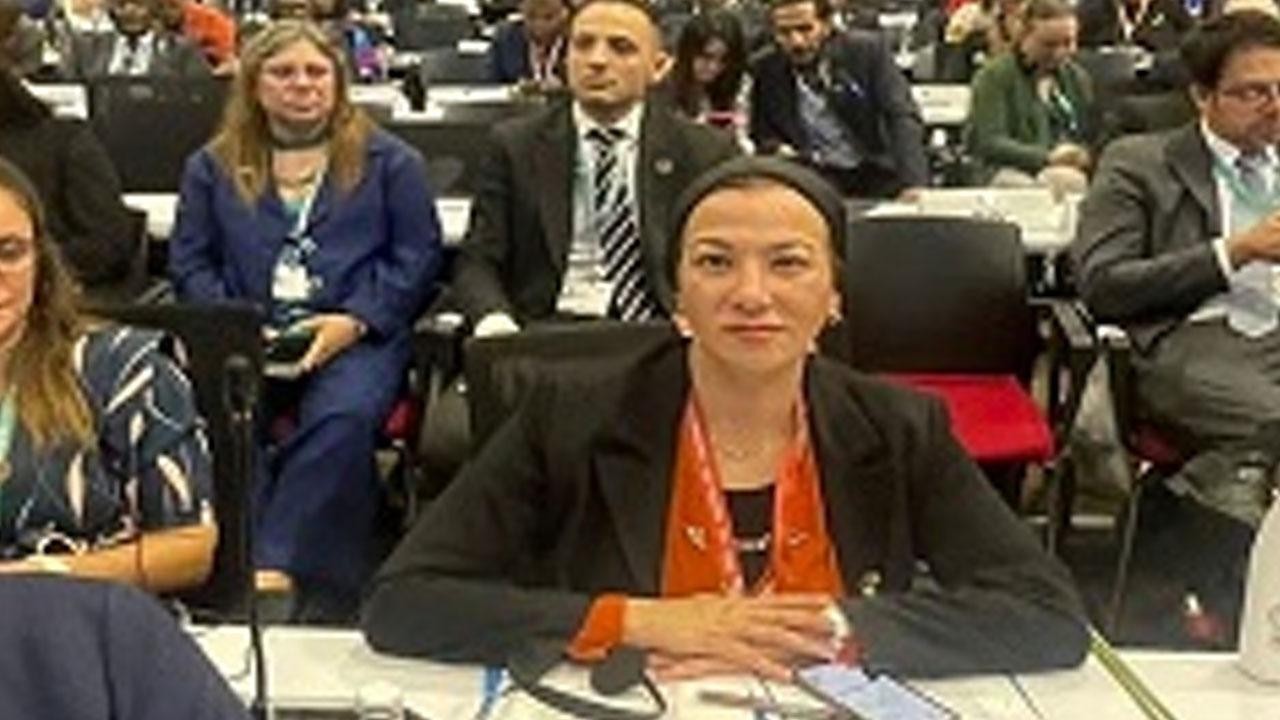 Egypt Achieves Significant Progress in Global Biodiversity Framework Goals