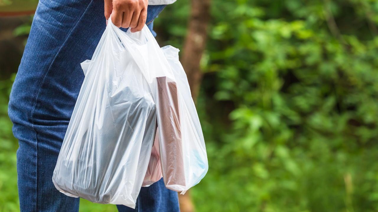 Dubai's plastic prohibition has made it common for locals to bring reusable bags.