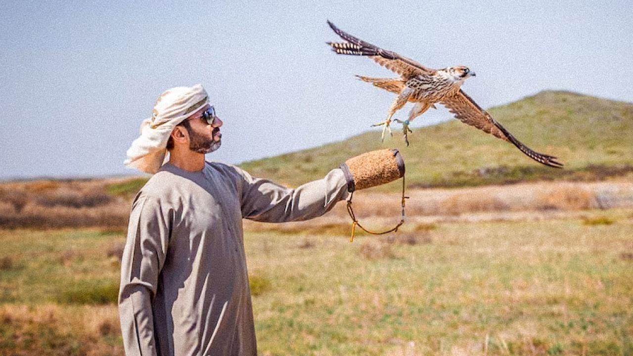 Sheikh Zayed Falcon Release Programme Releases 63 Falcons into Kazakhstan Wilderness