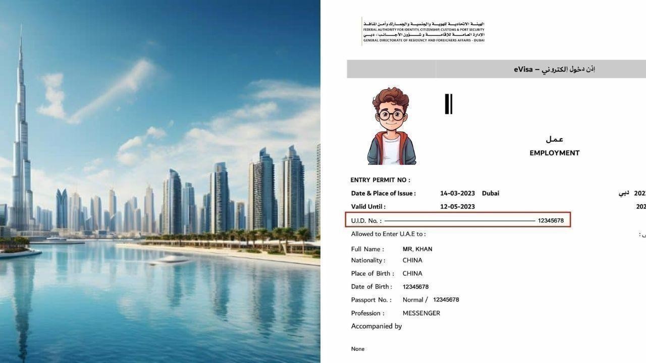Easy Ways to Find Your UID Number in the UAE for 2024: A Complete Guide