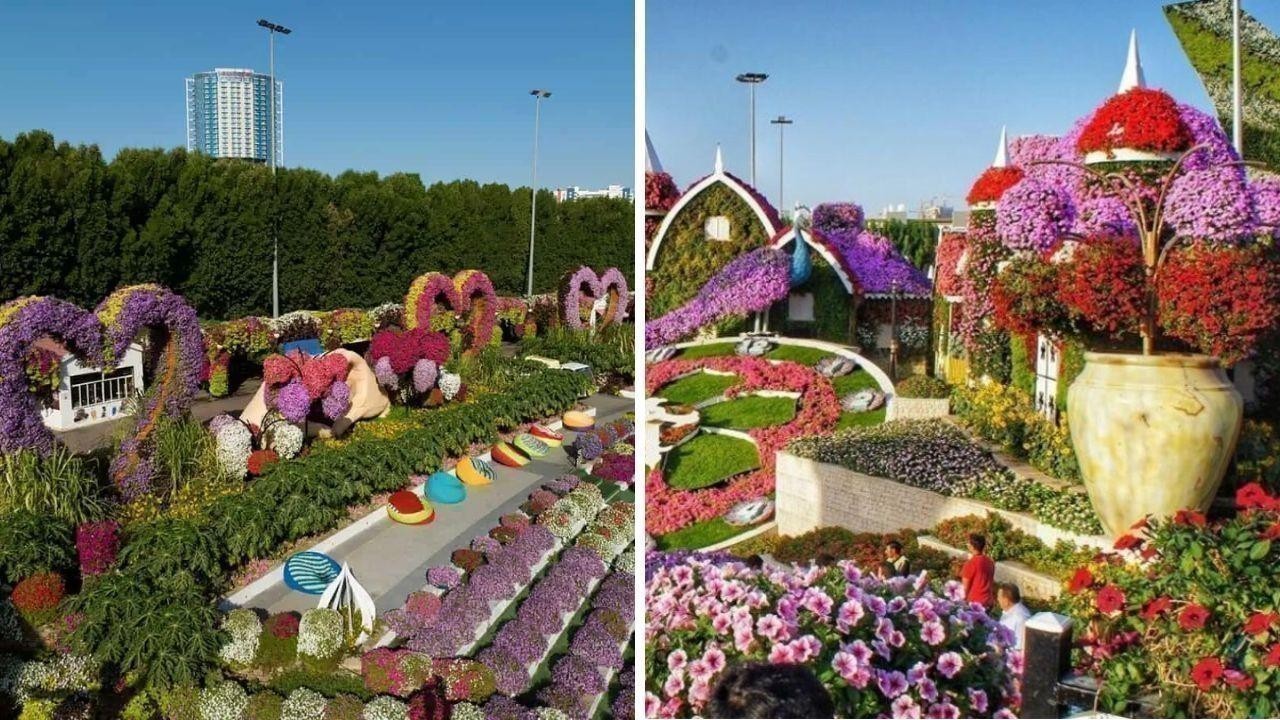 Exciting News: Dubai Miracle Garden Reopens with a New Attraction This Season