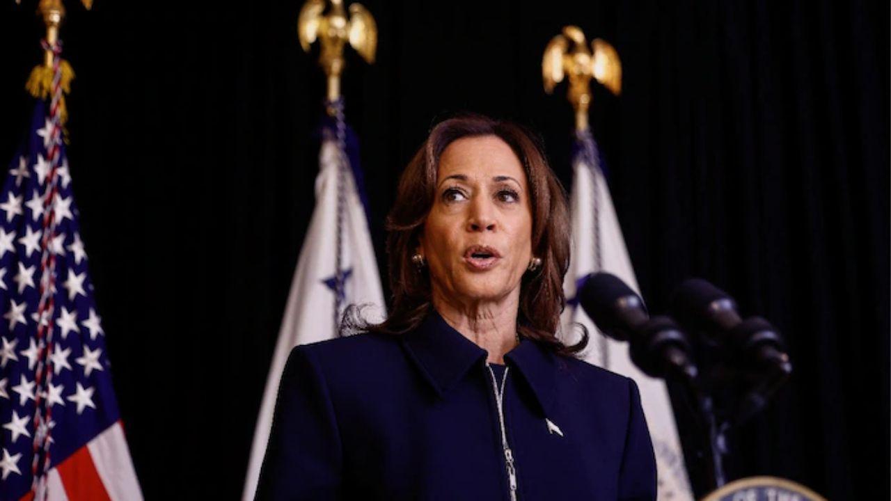 MSNBC Producer Caught Admitting Network Boosted Harris Campaign, Made Viewers 'Dumber