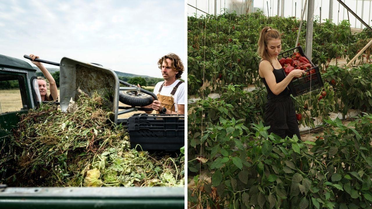 The Power of Regenerative Tourism: Transforming Travel to Benefit Local Communities