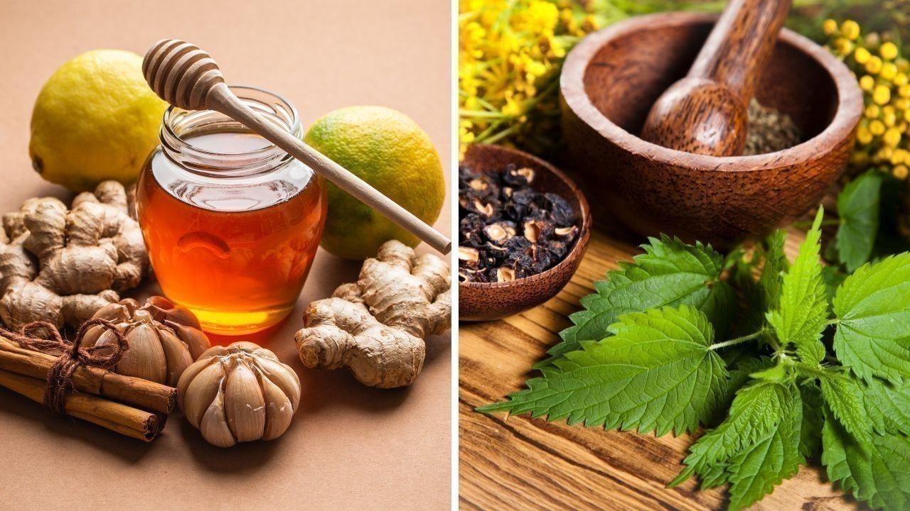 Natural Remedies for Common Health Issues Natural Remedies for Common Health Issues
