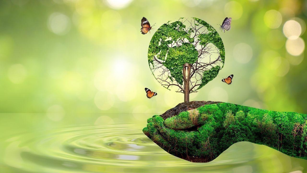 26 September: World Environmental Health Day – A Call to Action for Global Health