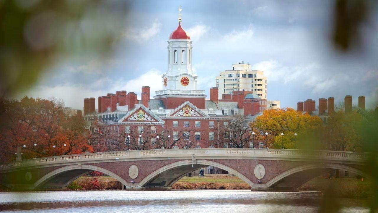 Falling in Love with Arab Culture: How Abu Dhabi is Drawing US Students