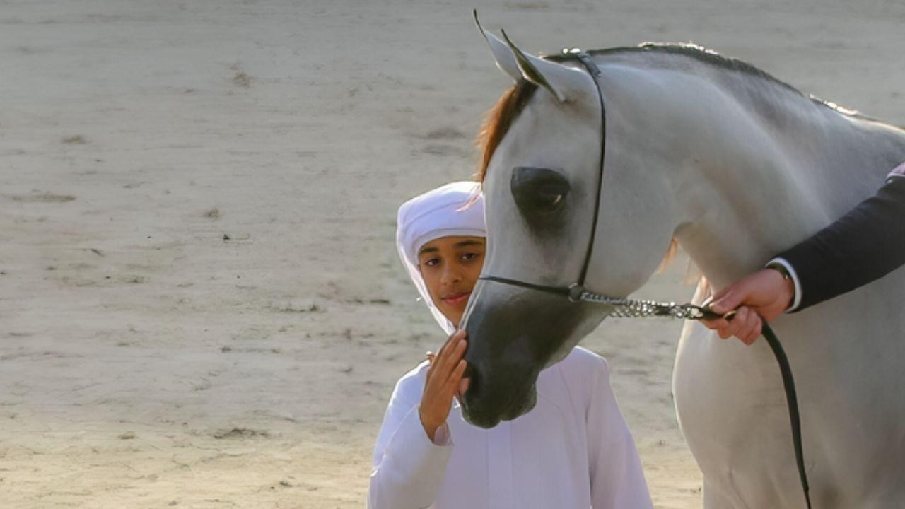 Abu Dhabi Heritage Authority and Emirates Arabian Horse Society to Attend Morocco's Salon du Cheval d’El Jadida