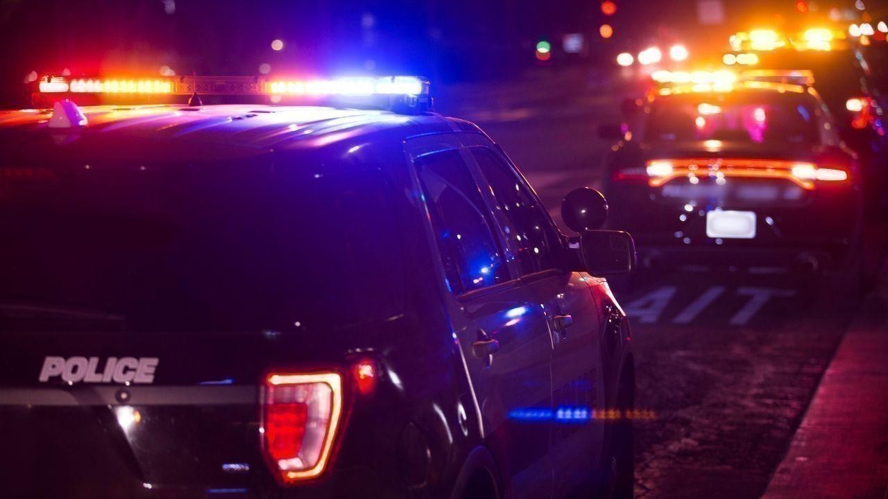 Indian-Origin Man Arrested After Driving Stolen Vehicle Over Police Cruisers in Canada