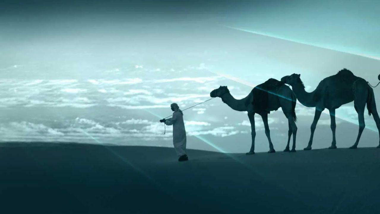 Instant Camel Grazing License Now on TAMM in Abu Dhabi