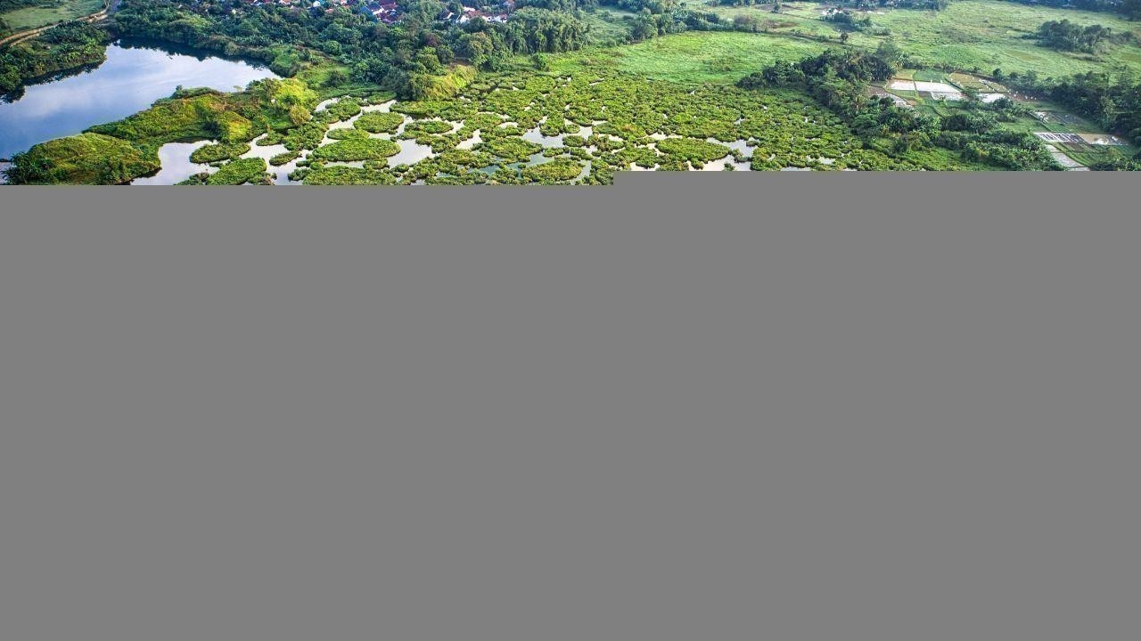 The Role of Geography in Shaping History and Society