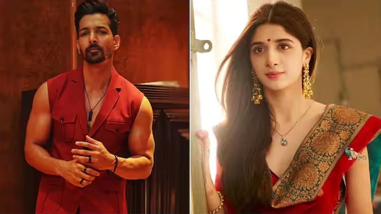Harshvardhan Rane Slams Mawra Hocane for Calling His Exit from Sanam Teri Kasam 2 a PR Stunt