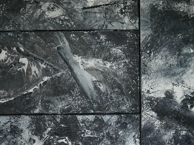 Between dog and wolf