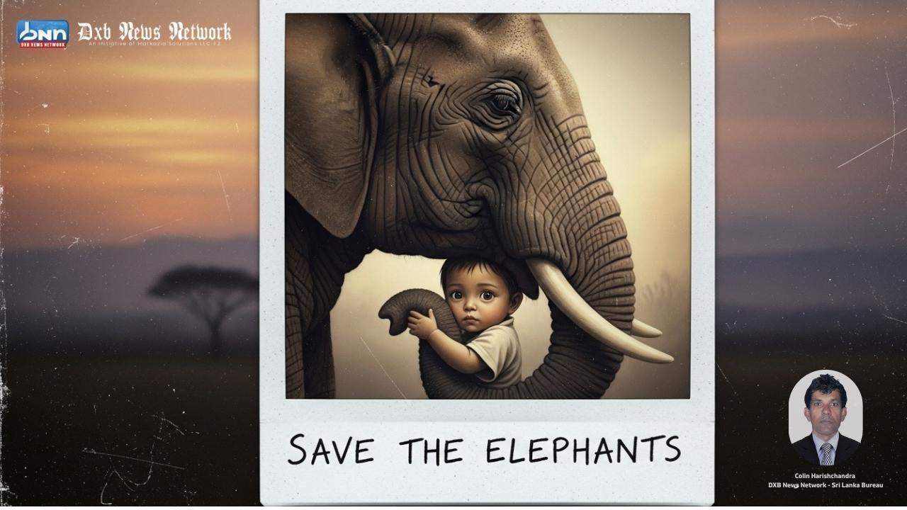 Elephants Under Threat: A Call to Action for Global Conservation