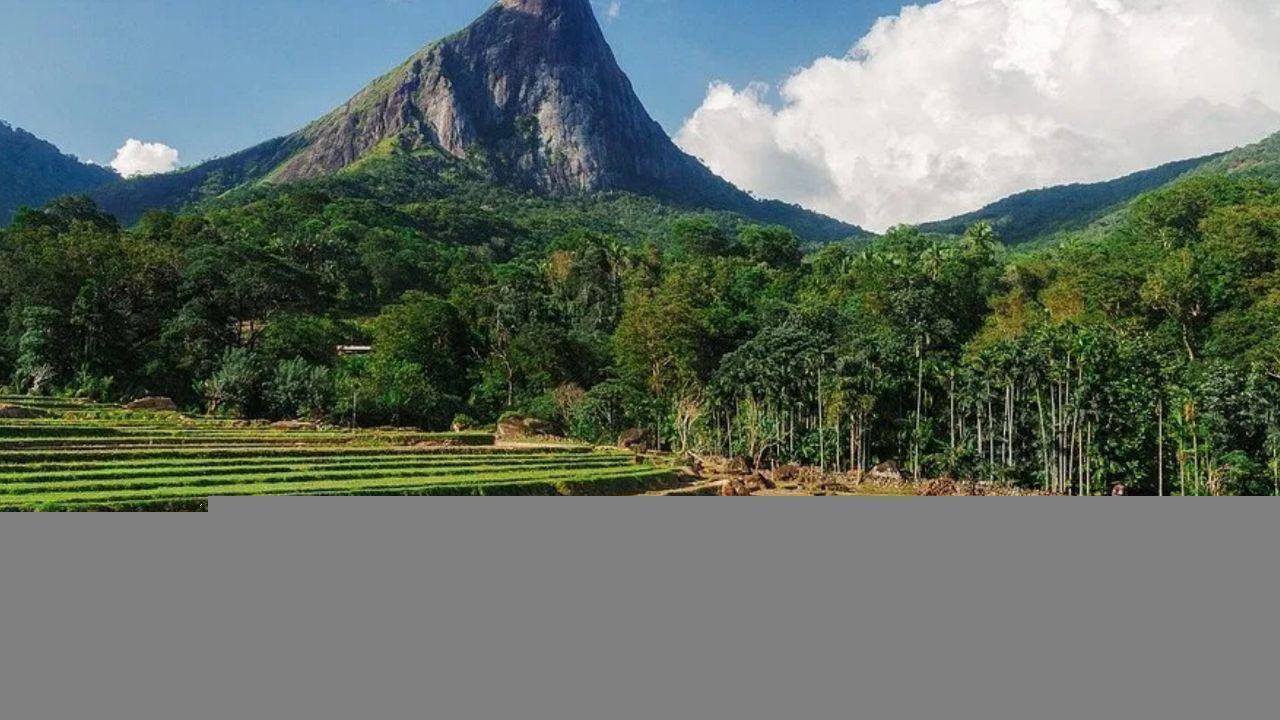 Sri Lanka’s Environmental Challenges and Sustainable Solutions