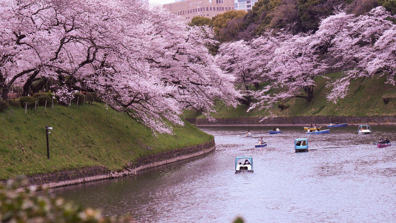 Best Countries to Travel for Your First International Trip