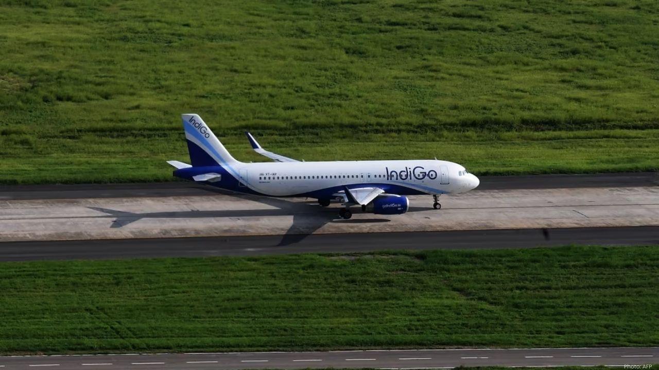 IndiGo Flight Returns to Nagpur After Bird Strike Incident