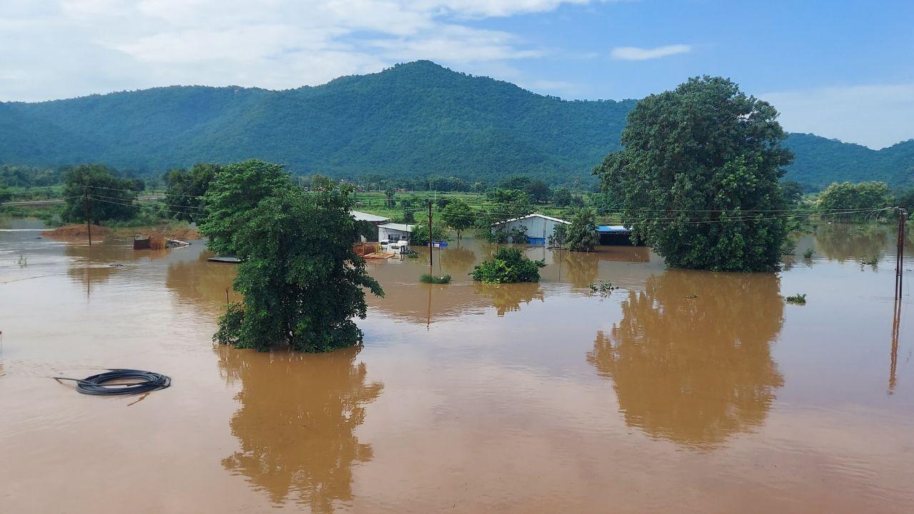 Punjab’s Worst Floods in Nearly Four Decades Claim 29 Lives, Over 2.5 Lakh Affected