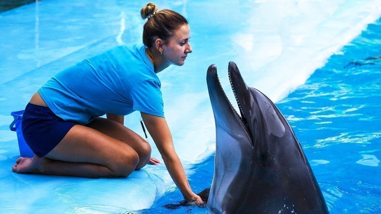 Y2K Goes Coastal: Dubai Embraces the Dolphin Girl Trend of 2025