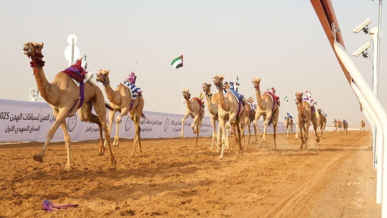Al Ain Camel Racing Festival Opens Under UAE Leaders' Patronage