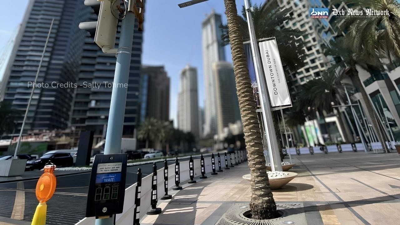 Rooted In Culture , Living In Style