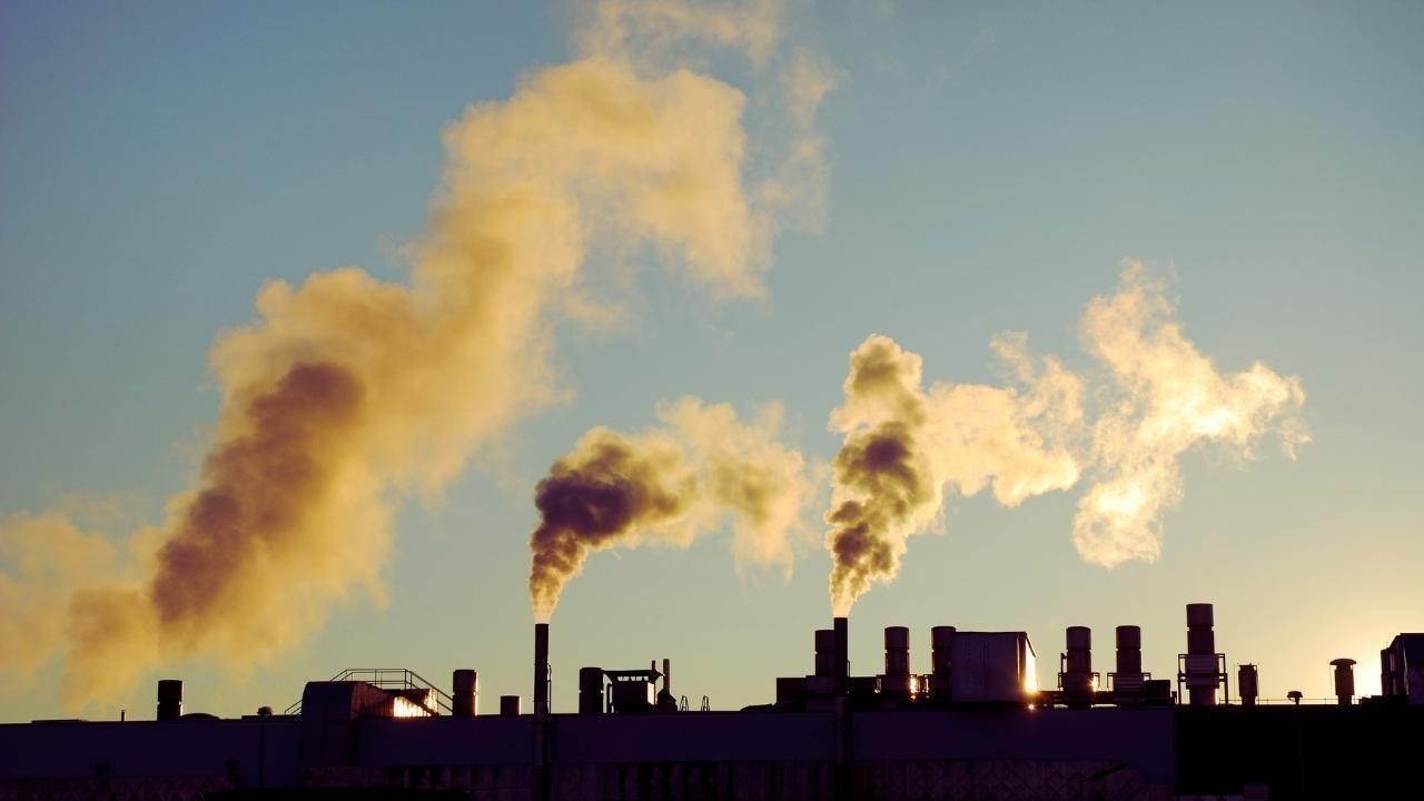 Cleaner Air: How Cities Are Fighting Pollution