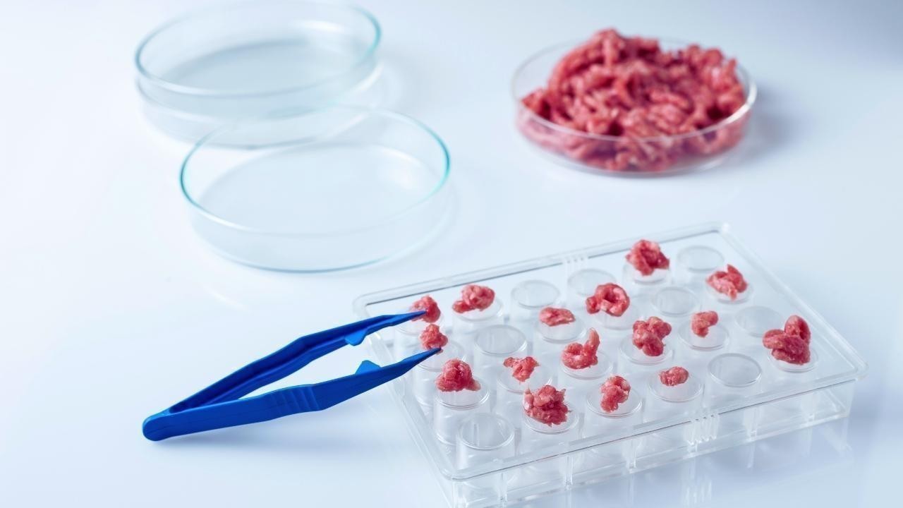 The Future of Food: Lab-Grown Meat, Vertical Farming, and Sustainable Eating